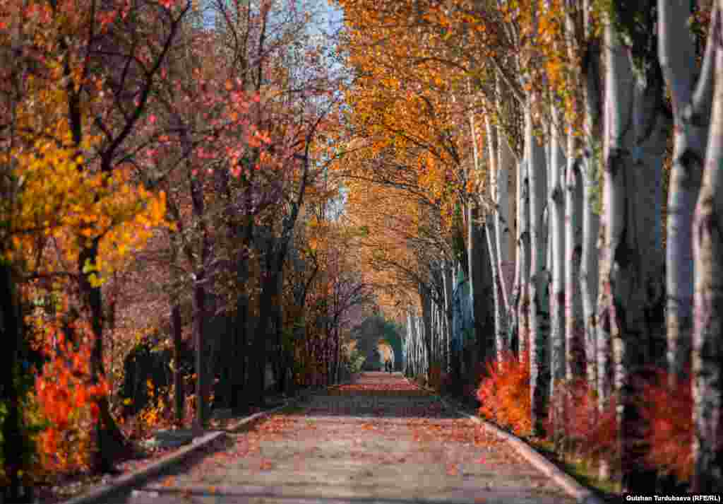 Аялуу да, аруу дагы күз...&nbsp;