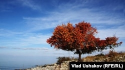 Ысык-Көлдүн тескей жээги.  