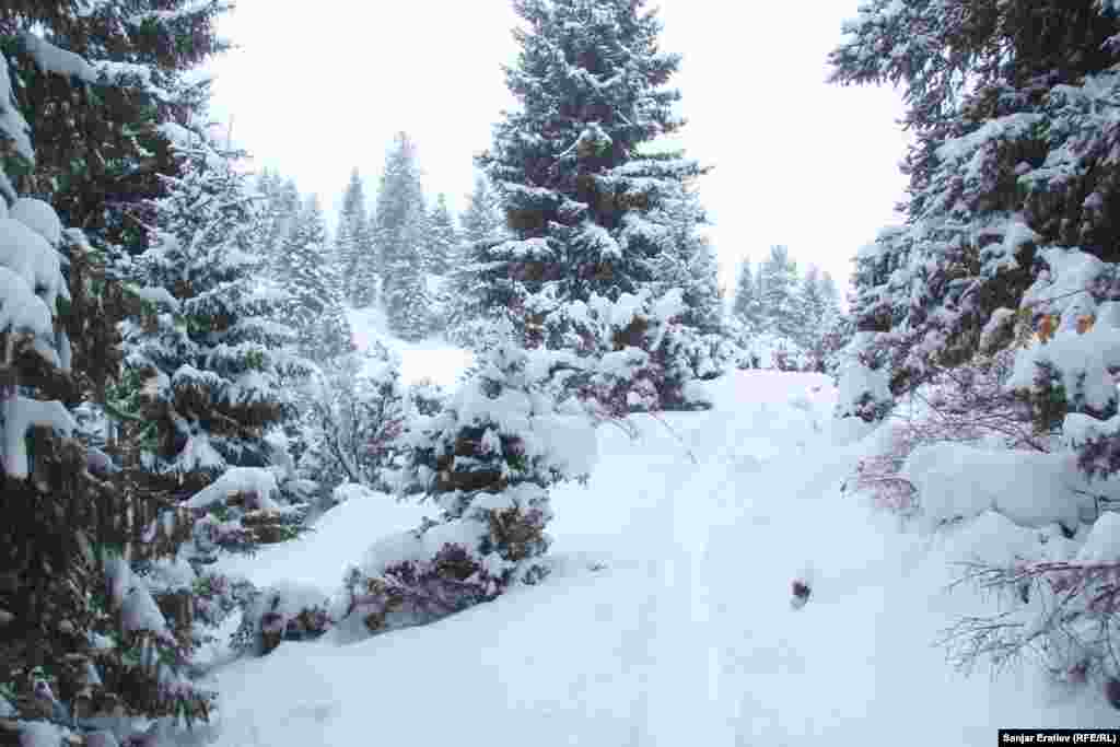 Жыргалаң өрөөнү.