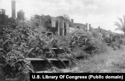 Брошенные локомотивы, поглощенные джунглями в Панаме после провала французского проекта