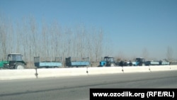 Груженные навозом тракторы стоят на трассе при въезде из Джизака в Самаркандскую область, 11 января 2021 года.