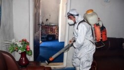 آرشیف، کندز