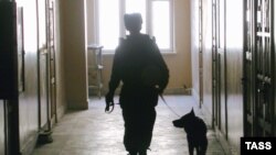 Грамотные собаководы найдут возможность уклониться от уплаты штрафа, оспаривая принадлежность обнаруженного участковым «компромата»