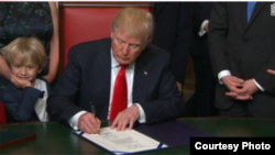 ԱՄՆ նախագահ Դոնալդ Թրամփ, արխիվ