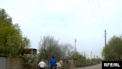 Problemləri çox olan kəndlərdə isə yaşamaq getdikcə ağırlaşır