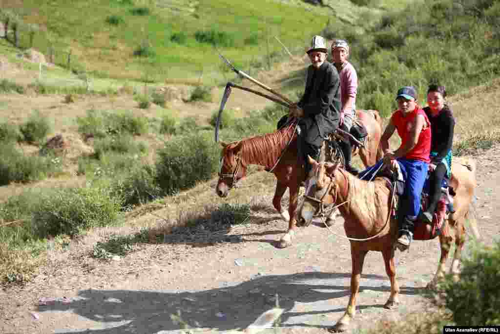 На сенокос выезжают всей семьей