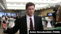 Дмитрий Гудков 