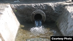 Молчу Хица Бала Хьоьгуш Бу Нохчийчура Бахархой