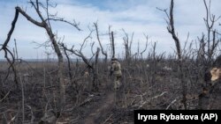 Ուկրաինա- Ուկրաինացի զինվորը զբոսնում է Կլիշչևկայի մոտ, Դոնեցկի մարզ, արխիվ