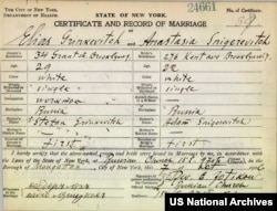 Пасьведчаньне аб шлюбе прадзеда і прабабулі Алексуса Грынкевіча — Эліяса (Ільлі) Грынкевіча і Анастасіі Сьнігерэвіч. 7 кастрычніка 1906 году, Нью-Ёрк