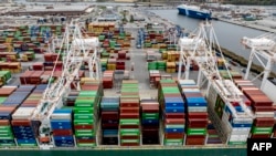 Иллюстрациялык сүрөт.