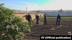 Prezident tomorqa yerlarini nazoratga olishni buyurgani ortidan¸ hokimlik¸ prokuratura¸ IIV va soliq xodimlari uyma-uy yurib¸ aholining o‘z tomorqasiga nima ekayotganini nazorat qilishga jadal kirishdi.