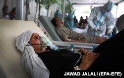 بیماران ویروس کرونا در افغانستان