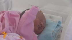 Бишкекте төрт эм төрөлдү