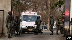 Эквадордогу тополоң чыккан түрмөнүн айланасы.