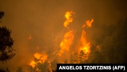 Հրդեհներ Էվբեան կղզում, 8-ը օգոստոսի, 2021թ․