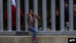 Мігранты на польска-беларускай мяжы