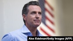 گاوین نیوسم، والی کالیفرنیای