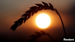 Иллюстрациялык сүрөт. 