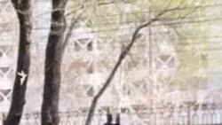 «Призывы к массовым беспорядкам». В Бишкеке арестовали журналистку за посты в соцсетях